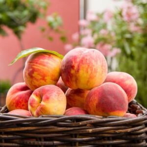Cesta de frutas