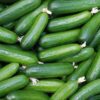 Pepinos 2