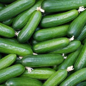 Pepinos