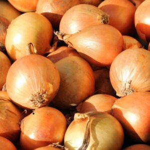 Cebollas