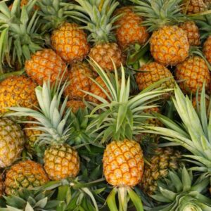 Piña
