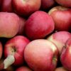 Manzana Fuji 2