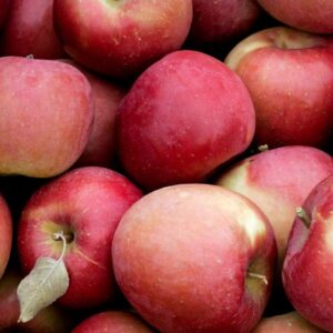 Manzana Fuji
