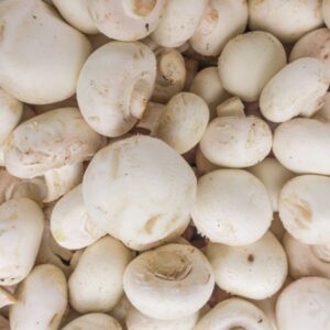 Seta Champiñon