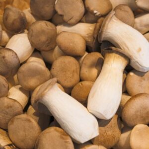 Setas de Cardo